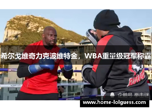 希尔戈维奇力克波维特金，WBA重量级冠军称霸