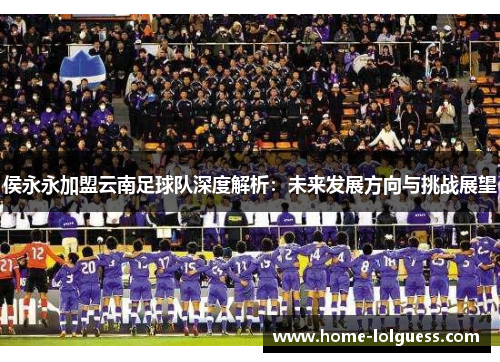 侯永永加盟云南足球队深度解析：未来发展方向与挑战展望